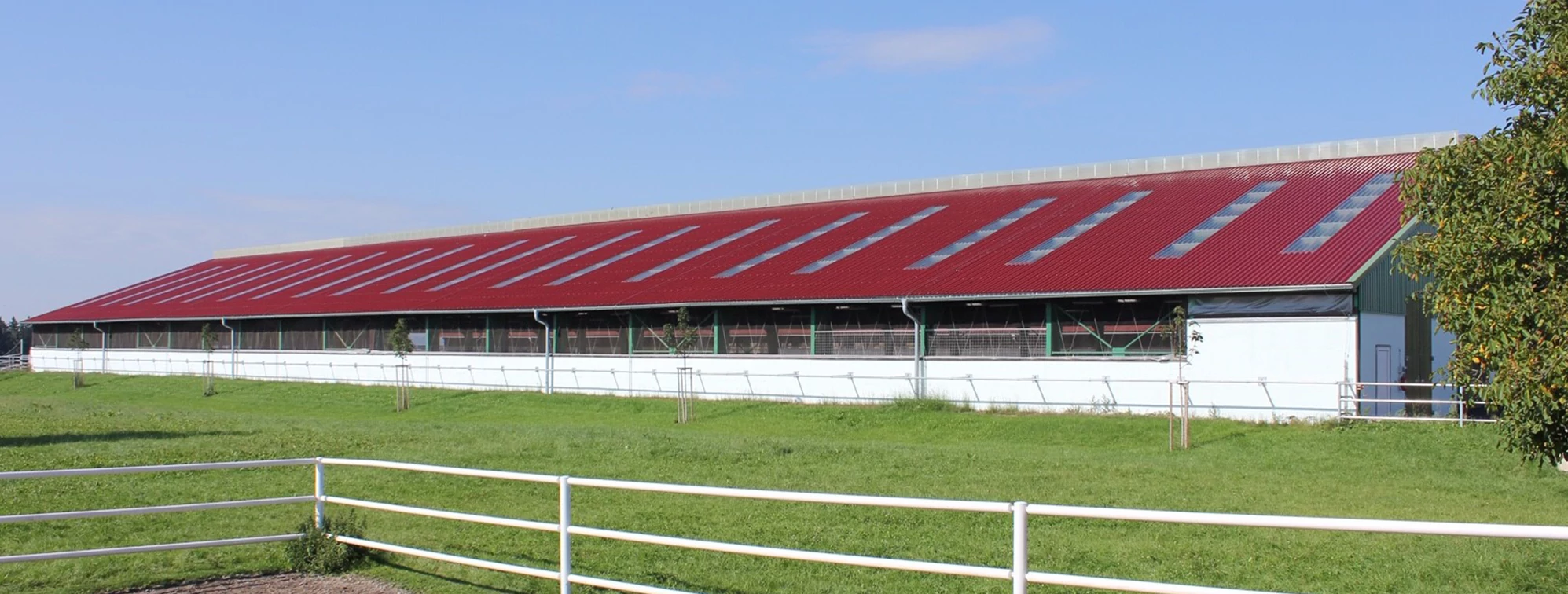 Ipari profillemezek állattenyésztőknek Ipari profillemezek állattenyésztőknek