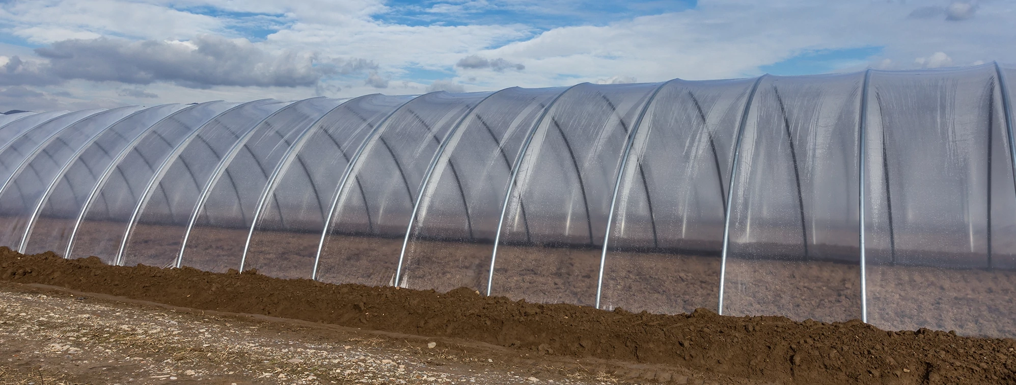 UV-álló sátorfóliák agrovállalkozásoknak  UV-álló sátorfóliák agrovállalkozásoknak